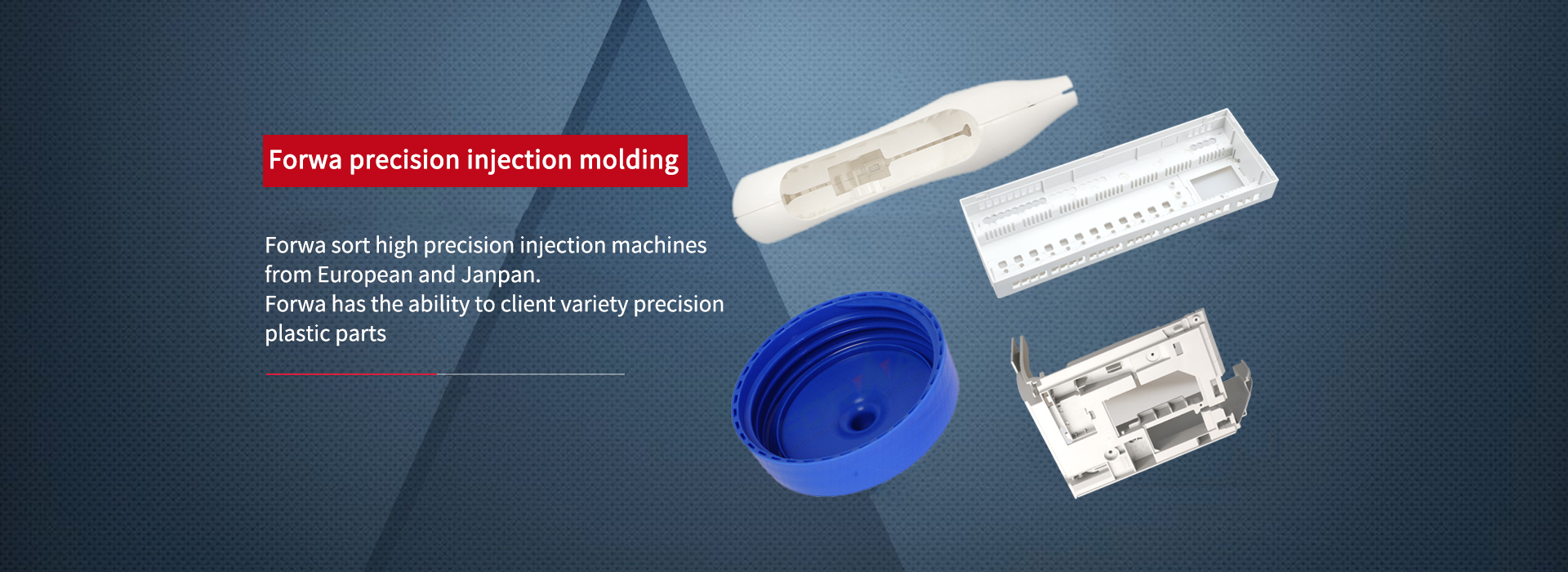 Dongguan Forwa Precision Industrial Technology Co., Ltd